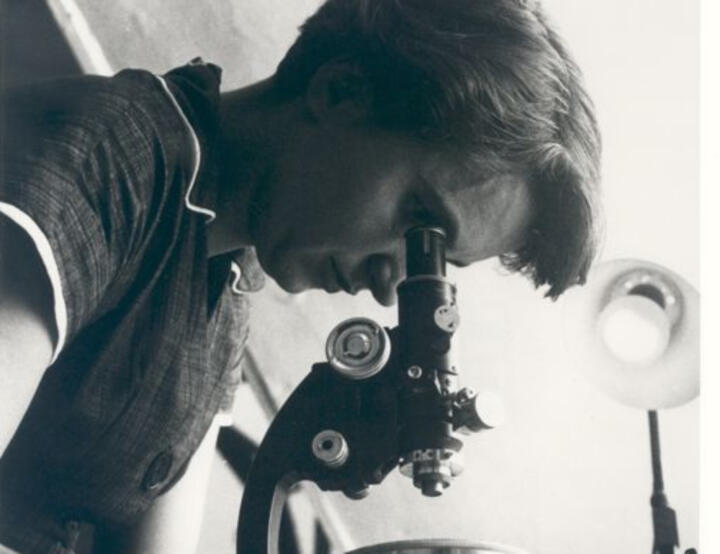 1958 stirbt die britische Biophysikerin und Röntgenexpertin Rosalind Franklin. B ...