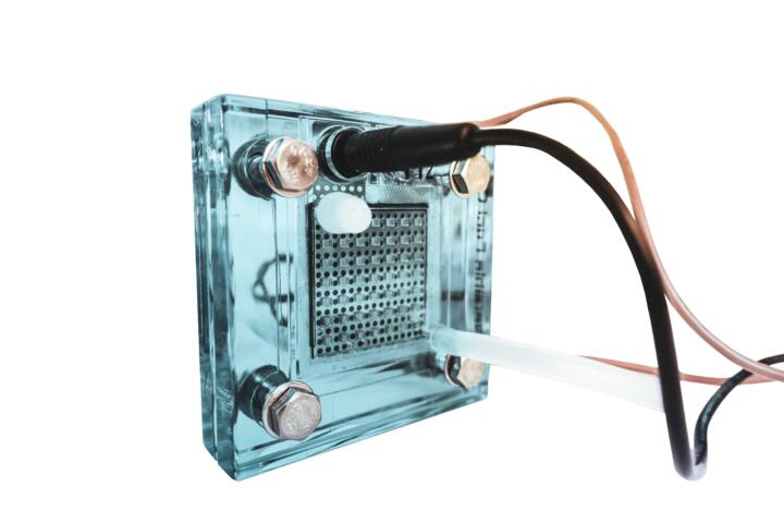 &ldquo;Innovation requires focus and speed&rdquo;