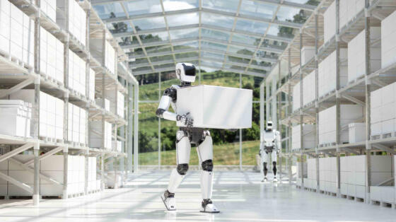 Test your knowledge about humanoids and other robots