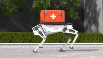 Blindenhunde und andere Roboter